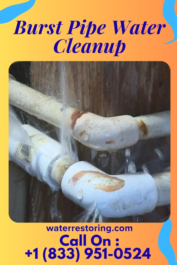 Burst Pipe Water Cleanup in Lake Carmel, NY